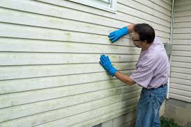 Best Wood Siding Installation  in Mendon, IL